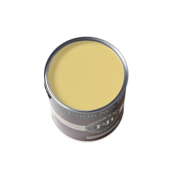 Farrow & Ball Paint 100ml Sample Pot Citron No. 74